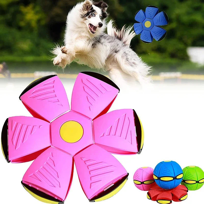 Saucer Ball