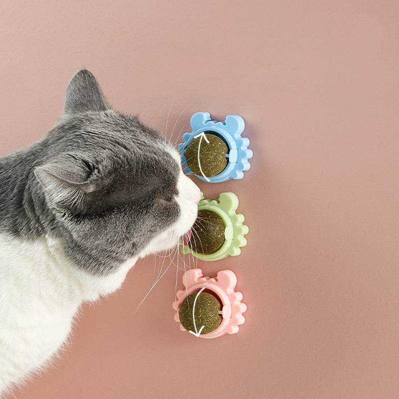 Catnip Ball Toy