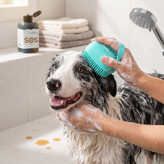 Shower Brush