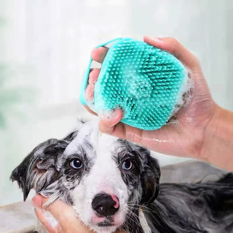 Shower Brush