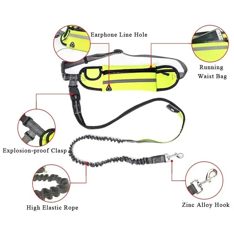 Hands Free Dog Leash