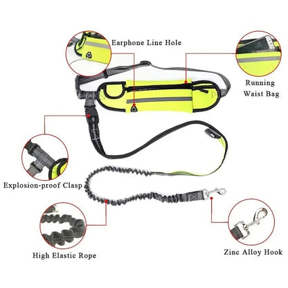 Hands Free Dog Leash