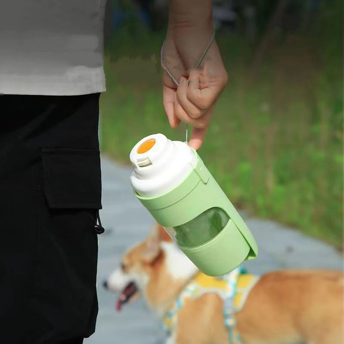 Travel Bottle