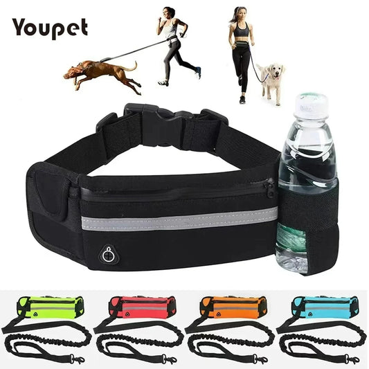 Hands Free Dog Leash