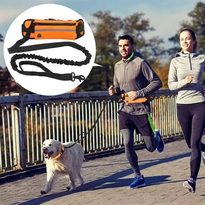 Hands Free Dog Leash