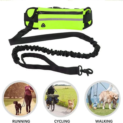 Hands Free Dog Leash