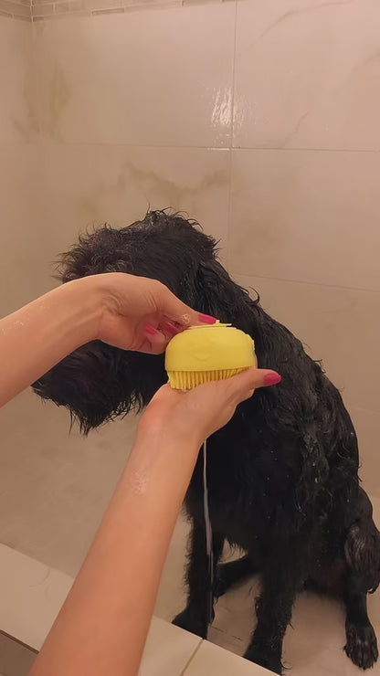 Shower Brush