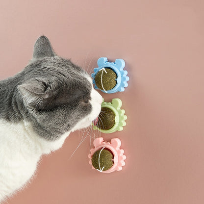 Catnip Ball Toy