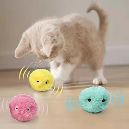 Catnip Training Toy